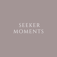 Seeker Moments case study